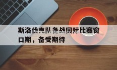 壹号娱乐-斯洛伐克队备战国际比赛窗口期，备受期待